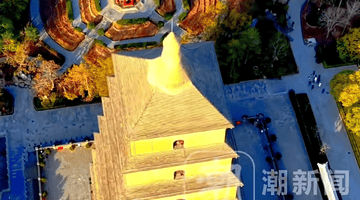 热线不是荒诞诉求的舞台 别用“唐朝不存在”这类闹剧消耗公共资源