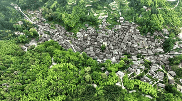 大利侗寨世代传承爱林护林 村民践行多元守护方式点亮绿色生机