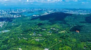 来钟山赴青春之约 2026年全国高校新生可享南京钟山风景区多景点免票福利