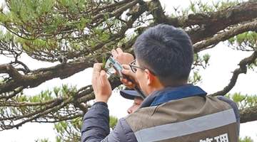 来黄山体验生态守护的多元活动 游客可感知数字科技赋能的自然保护细节