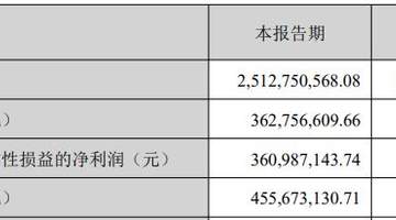 国瓷材料2026年半年报出炉 邀你看MLCC粉体、浆料销量攀升及借款变动新变化