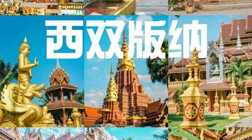 2026暑假游西双版纳 多元雨林傣韵活动等你来体验