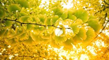 今日立秋·咬秋吃瓜正当时 沉浸式解锁秋日初体验