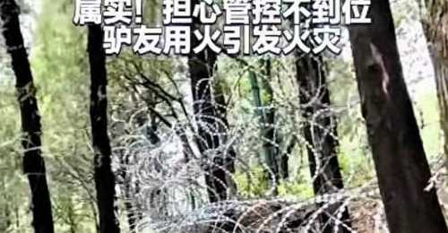 泰山2500万刺网拆除后,大家仍在追问:这笔公共开销,到底谁来买单
