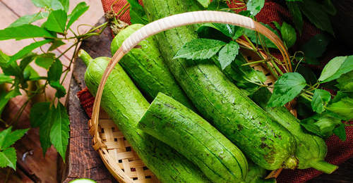 夏天吃丝瓜要注意啥?多元参与的实用饮食指南等你来了解