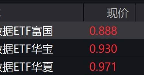 大数据概念股走强，大数据ETF涨超4%
