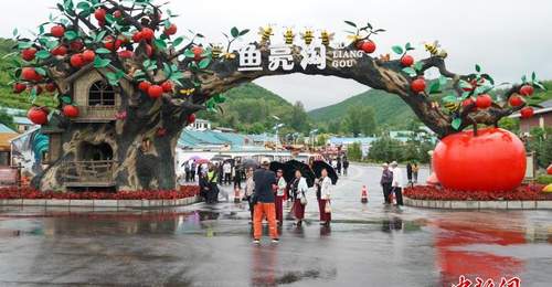 中国今年上半年旅游投诉数量同比下降24.2%