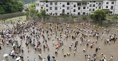 城口河鱼乡第十届农耕消夏康养季燃动夏日“凉经济”