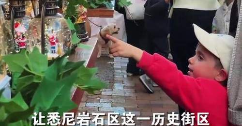 来悉尼体验“七月圣诞节”