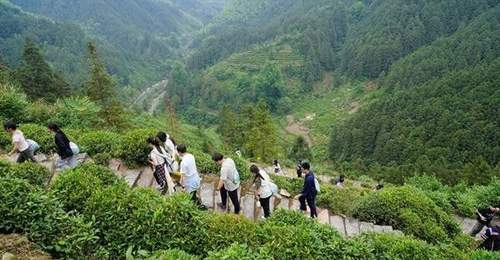 沿着“古道”去旅行 激活沉睡历史遗存