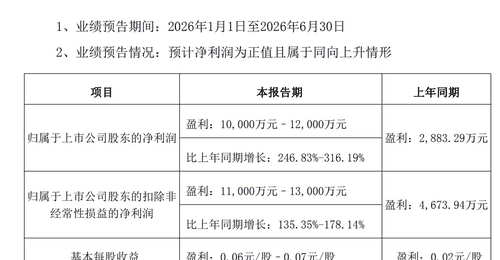 兴森科技:上半年归母净利润同比预增246.83%至316.19%