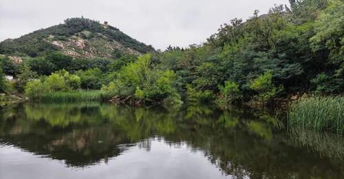 恢复游览!雨后小珠山“小飞瀑“惊艳登场!