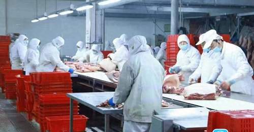 潍坊猪肉首次出口非洲 海外市场再添新版图