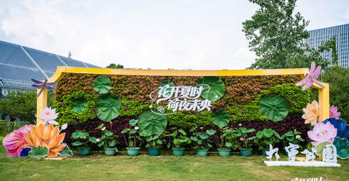 水火共舞,荷夜未央!静安区大宁公园荷花主题游园会启幕,将持续三个周末