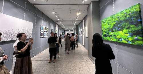 揽四时荷韵!来中山纪念图书馆赴一场荷塘雅课
