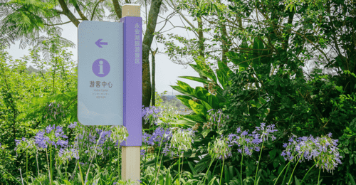 夏日限定浪漫!来永安湖走“花路”啦