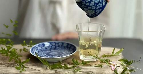 温度,是白茶风味的“隐形雕琢者”
