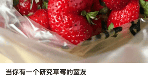 :农学生培育的奇特水果收获与挑战