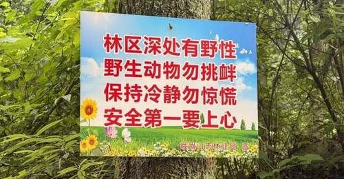 夏日户外安全警示:远离未开发区域,防范潜在风险