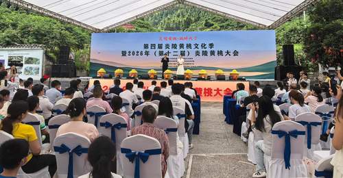第四届炎陵黄桃文化季启幕 推出三条精品路线 应届中高考生可免费游玩三大景区