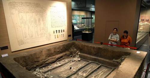 走进一眼万年滕州考古新发现特展 共赴近万年文明溯源之旅