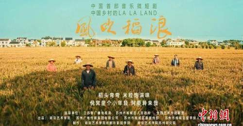 观众现场解锁多元乡土表达 音乐微短剧《风吹稻浪》研讨会分享会侧记