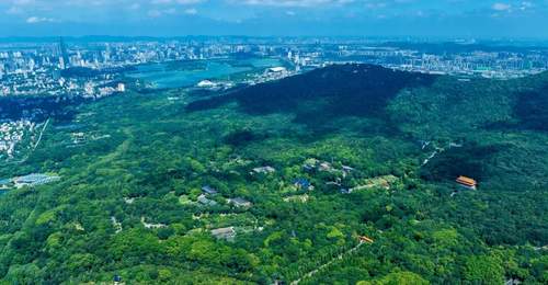 来钟山赴青春之约 2026年全国高校新生可享南京钟山风景区多景点免票福利