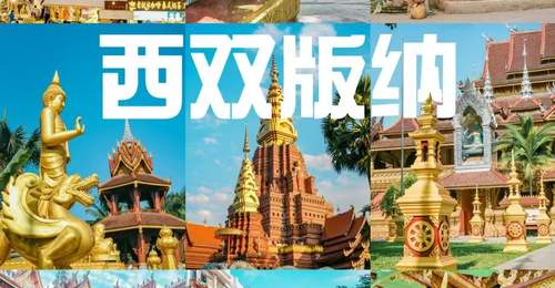 2026暑假游西双版纳 多元雨林傣韵活动等你来体验