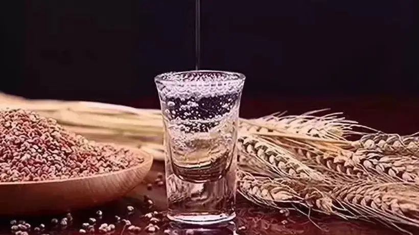 多元酒友必看!八大健康饮酒指南解锁品质微醺体验