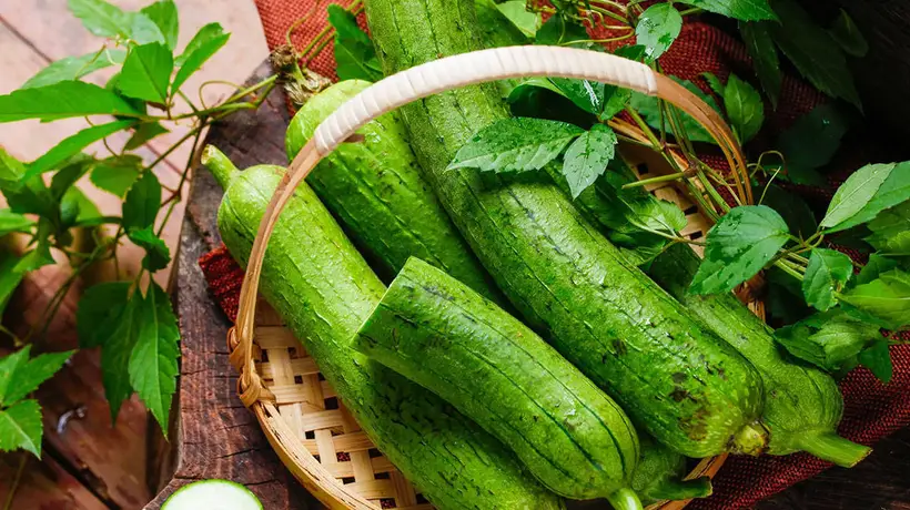 夏天吃丝瓜要注意啥?多元参与的实用饮食指南等你来了解