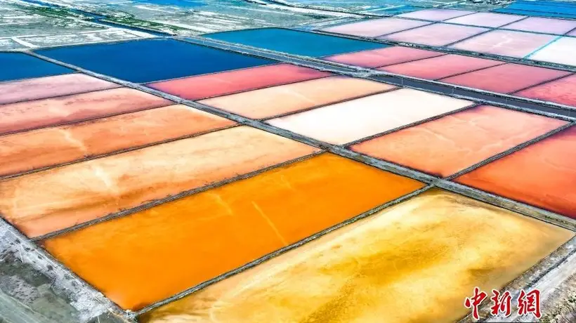 8月5日鄂尔多斯北大池盐湖成打卡热点 游客赴夏末秋初的斑斓天地寻趣