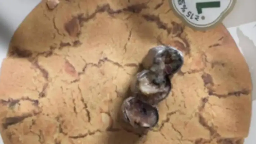 泸溪河金属牙冠事件引多方关注 回应澄清生产环节无混入 投诉人已致歉