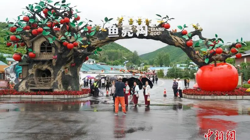 中国今年上半年旅游投诉数量同比下降24.2%