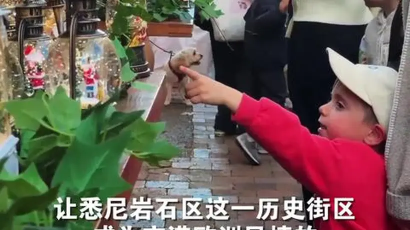来悉尼体验“七月圣诞节”