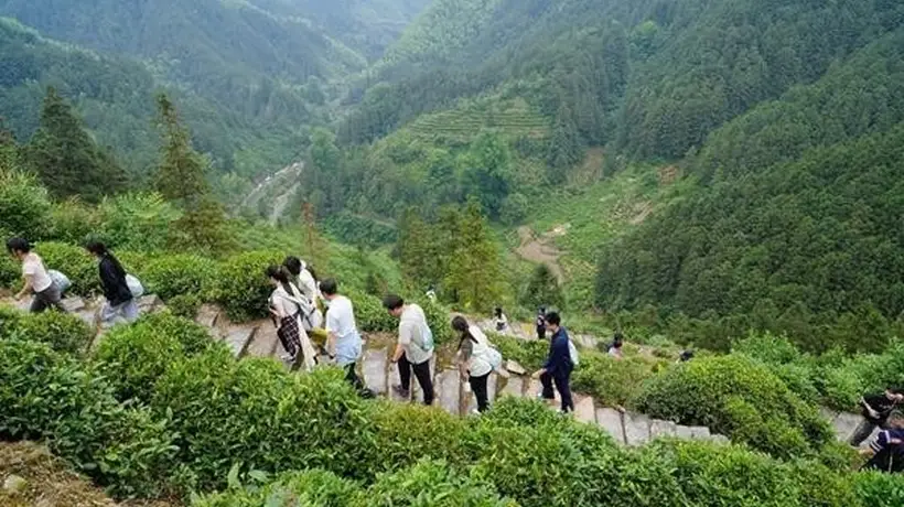 沿着“古道”去旅行 激活沉睡历史遗存