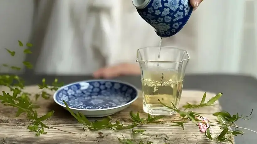 温度,是白茶风味的“隐形雕琢者”