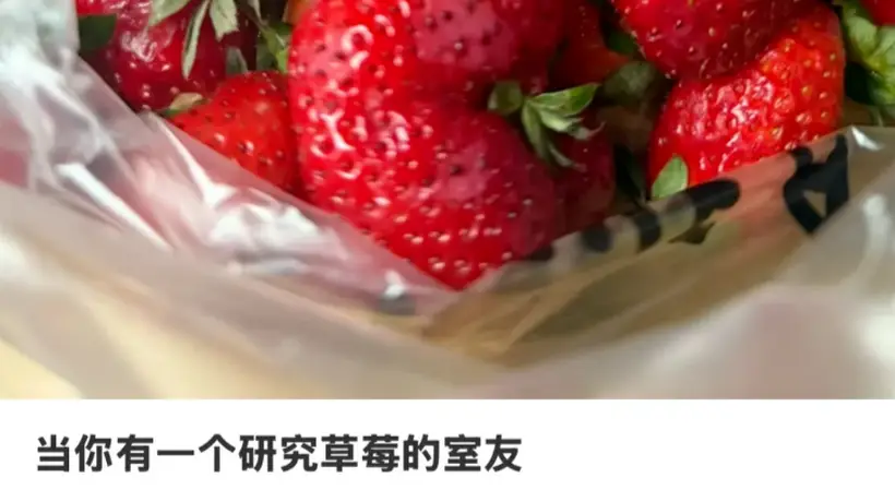 :农学生培育的奇特水果收获与挑战