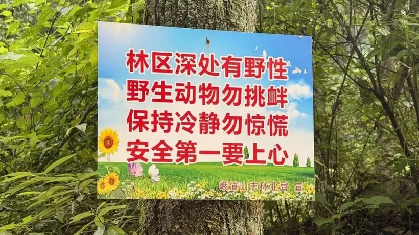 夏日户外安全警示:远离未开发区域,防范潜在风险