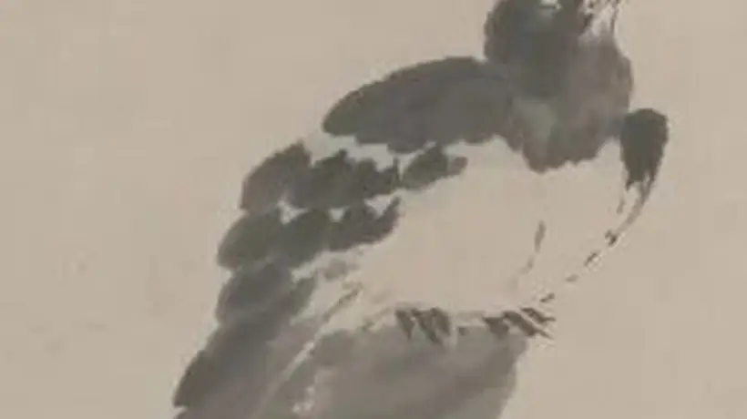八大山人笔下翻白眼动物：遗民情绪的象征