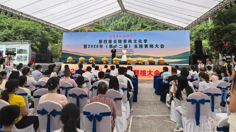 第四届炎陵黄桃文化季启幕 推出三条精品路线 应届中高考生可免费游玩三大景区