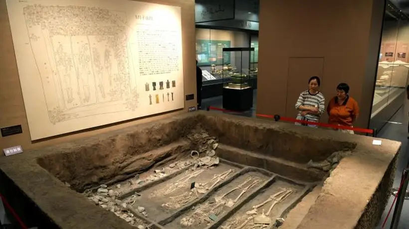 走进一眼万年滕州考古新发现特展 共赴近万年文明溯源之旅