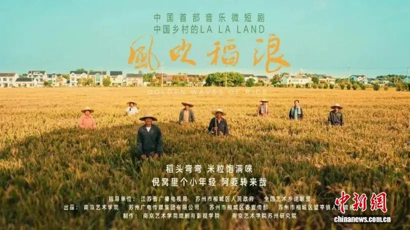 观众现场解锁多元乡土表达 音乐微短剧《风吹稻浪》研讨会分享会侧记