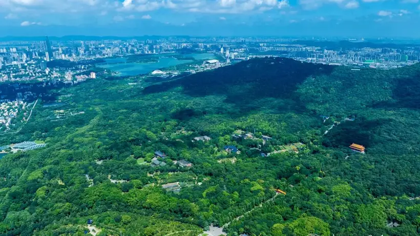 来钟山赴青春之约 2026年全国高校新生可享南京钟山风景区多景点免票福利