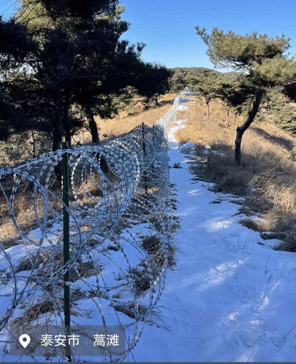 泰山景区回应“修建135公里滚筒式刀片刺绳隔离铁丝网”